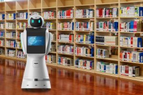 全新迎宾机器人亮相，为观光景点带来便利与笑容