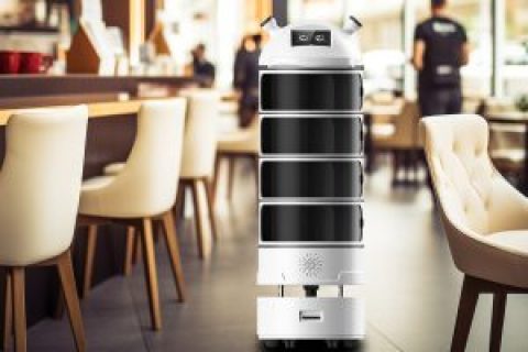 视觉识别的概述与发展